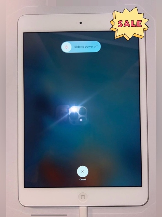 Apple Other - Apple iPad Mini 2
